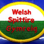 Welsh Spitfire Supporters Badge